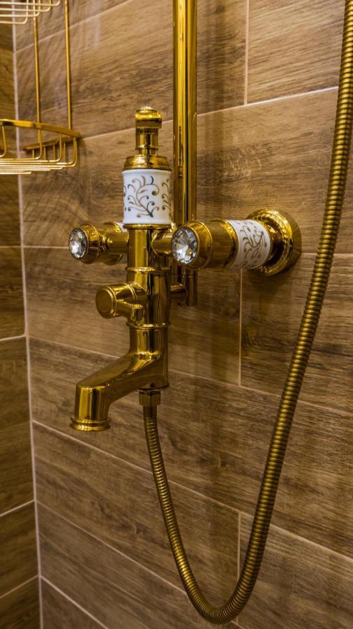 Cyborg Flat Petrosani Apartment ภายนอก รูปภาพ