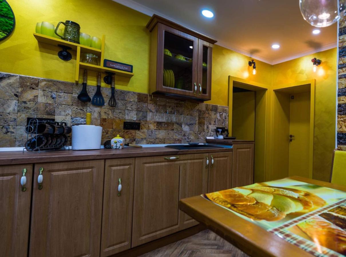 Cyborg Flat Petrosani Apartment ภายนอก รูปภาพ